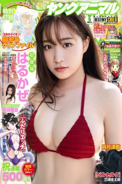 判逆者电视剧在线观看